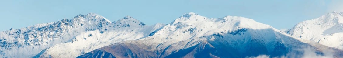 Help shape the future of Agentics NZ: member survey now open