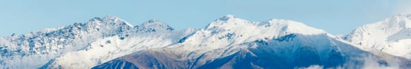Help shape the future of Agentics NZ: member survey now open